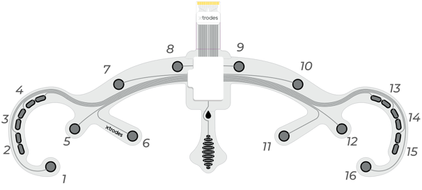 XTELC046GM05