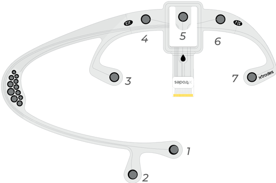 XTELC047GM05